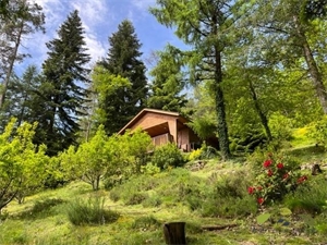 propriete à la vente -   19260  TREIGNAC, surface 37 m2 vente propriete - UBI428123696